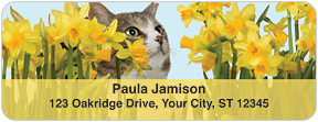 Precious Kittens Address Labels