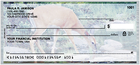 Wild & Free Checks